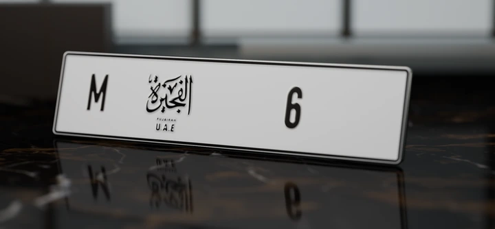 M 6