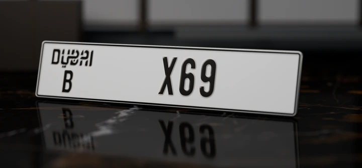 B X69